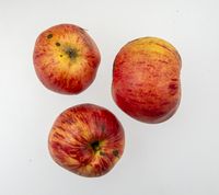 Gråsten Taarnborg æble